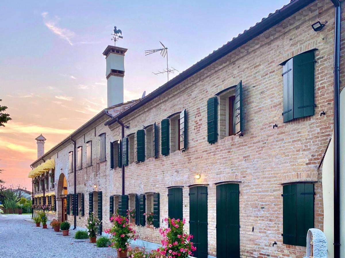 Il Canto Del Gallo *