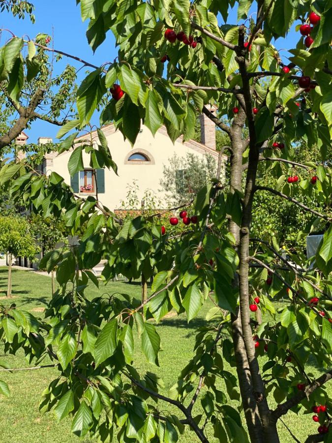Bed & Breakfast Il Canto Del Gallo