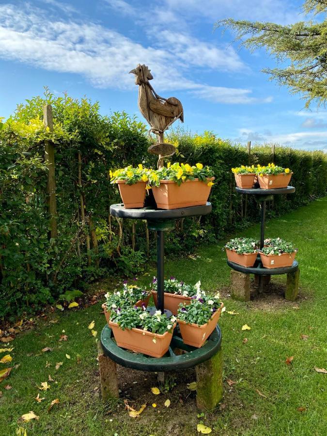Bed & Breakfast Il Canto Del Gallo Zenson di Piave