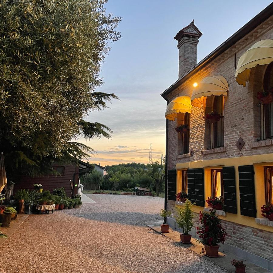 Il Canto Del Gallo *