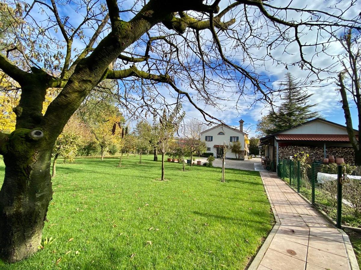 Il Canto Del Gallo Bed & Breakfast