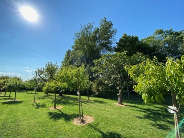 Il Canto Del Gallo Bed & Breakfast *